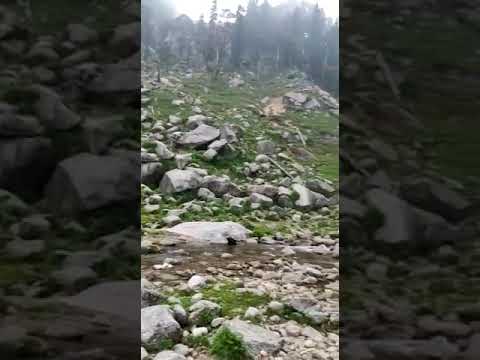 Kareri lake view dharamshala nice place