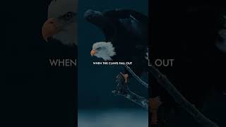 The Eagle’s Toughest Choice, Motivation | Digital Marketing  Web Experts