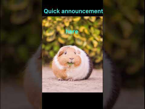 Big Announcement Here!