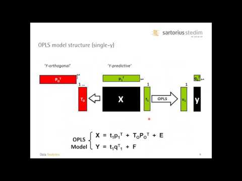OPLS in process modeling