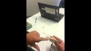 3D Wood puzzle problems