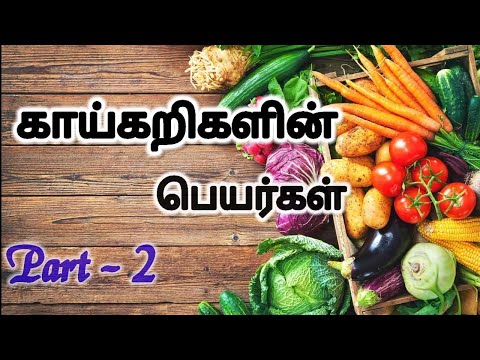 Vegetables Name in Tamil Partner - 2/காய்கறிகளின் பெயர்கள்/#learn #kidsvideo #viral #vegetables