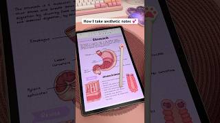 How I take aesthetic notes 💕📱 Samsung galaxy tab | penly app | study tips | digital note taking