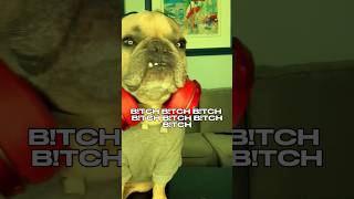 Feeling these weekend vibes #djs #djapollo #weekendvibes #dogs #edm ib @kingchillithepug