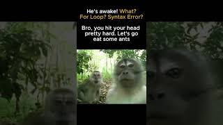 Waking up as Monkey #codinglife #codingmemes #developerhumor #programmermeme #tech #programming
