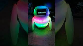 E-Bot Prototype