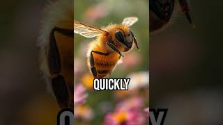 Bees solve math faster than computers! #bees #math #nature