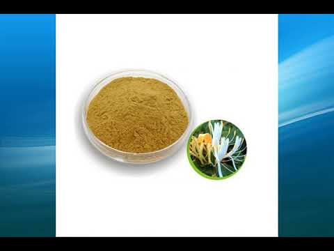 Honeysuckle Extract supplier,wholesale,factory,bulk
