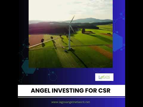 What Makes Angel Investing the BEST Option for CSR