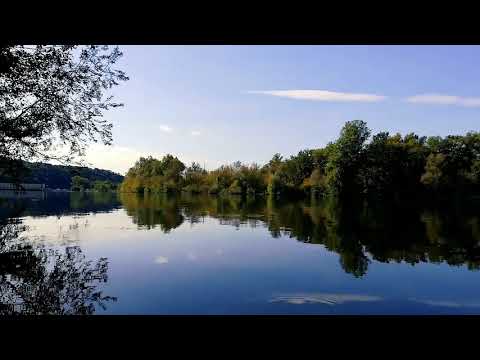 Relaxing Music along with Birds Singing, Chirping and nature aura of sounds | Breathtaking Nature