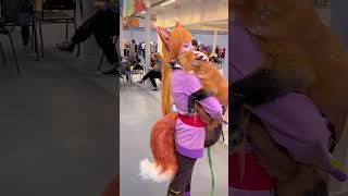 Clingy fox #fyp #funny #funnyvido ##funnymoments #funny #hahah #fox