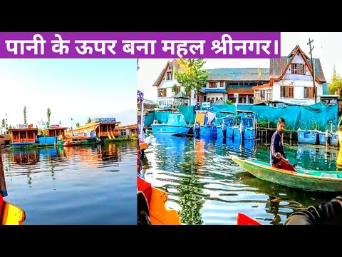 Dal Lake Srinagar Kashmir. डल झील श्रीनगर। #dallakesrinagerkasmirdaljhil