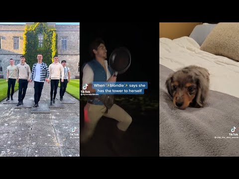 Random TikToks I Have Saved (Part 1)