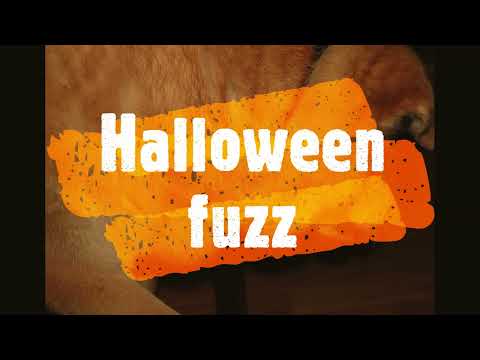 Halloween fuzz