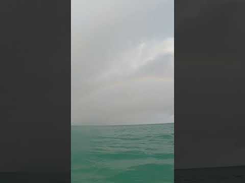 Rainbow caught while surfing in Baleal #surfing