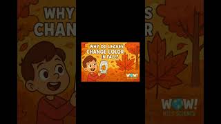 Why Do Leaves Change Color in Fall? #scienceforkids #stemforkids #educationalvideos