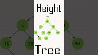Height of Tree Datastructure | #binarytree #datastructure #programming #algorithm #treedatastructure