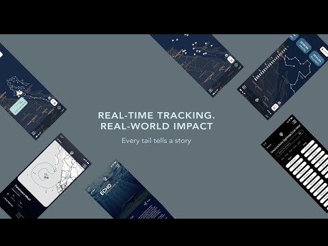 WhaleQuest App Presentation