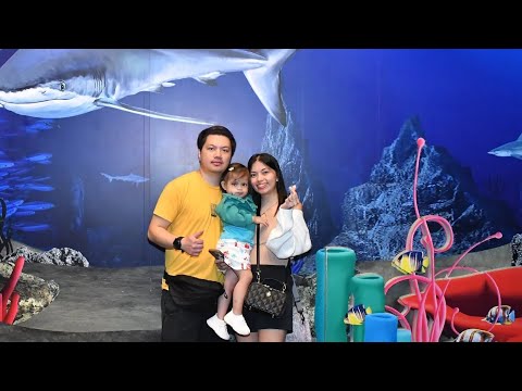 family staycation at Hotel H2O 👨‍👩‍👧💙🐟💦🌧🦭
