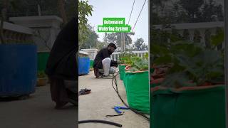 Automated drip Irrigation system for terrace garden #garden #gardenplants #homegardening