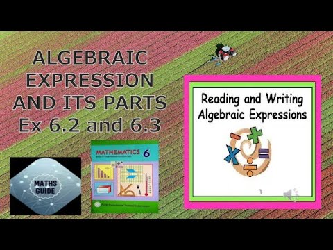 Algebra| Pctb 6 mathematics| Ex  ercise 6.2 & 6.3| constants| variables| coefficient| like terms