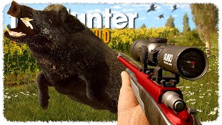 Hunting EVERY HOG (they call me the pig punisher) | theHunter: Call of the Wild