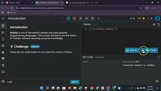 python mentorship  easiest walkthrough for beginners using coddytech