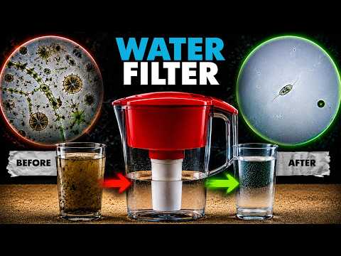 Filtered Lake Water Looks Clean… But Is It Really?
