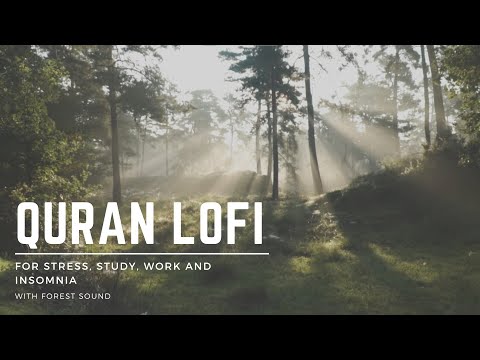 Quran For Working, Studying, Relaxing, Stress and Insomnia | Forest Ambiance Sounds |Lo-Fi Themed |