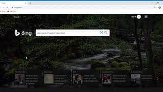 Google vs Bing - Is Bing actually better?