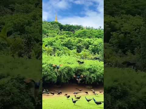 Best Travel Destination 2024 Thailand Best places to visit in Thailand 2024
