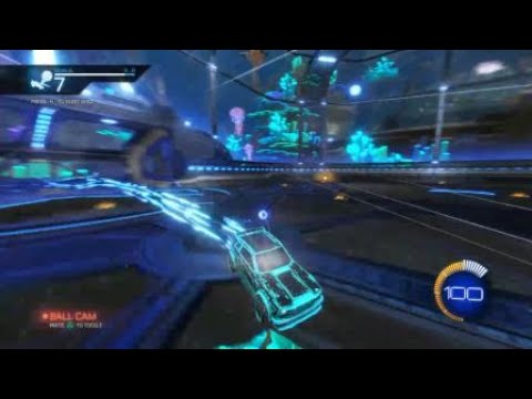 Goalie training