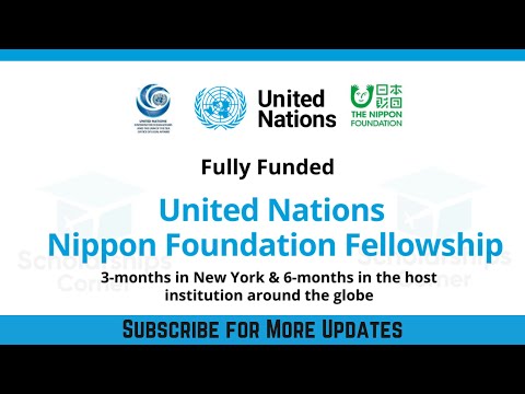 United Nations Nippon Foundation Fellowship 2022 | Fully Funded Fellowship | Scholarships Pathway