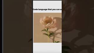 Code languages #shortsvideo #codelanguage #ytshorts