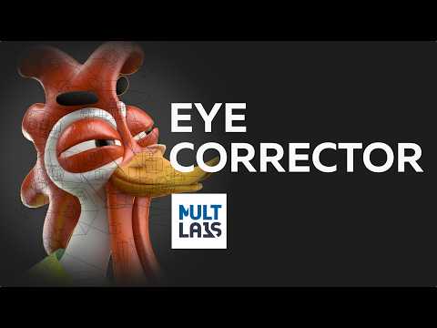 Eye corrector