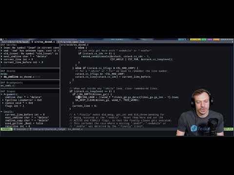 ak_slash Live Stream - [english] neovim like browser, luakit?
