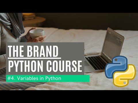 #4 Understanding Python Variables: Beginner’s Guide | The Brand Python Series - Brokly Master