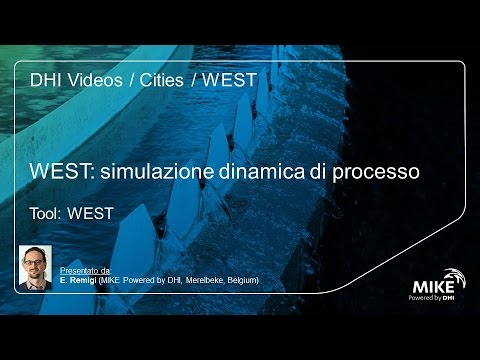 WEST: Introduzione al software di simulazione dinamica WEST