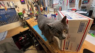 Sunday Retro Repair Show🧑🏻‍🎄 Garth Sent Parts For The Cursed Mac SE/30 ⛄️Holiday Repairs❄️