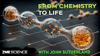 Rethinking the Origin of Life: How It All Began