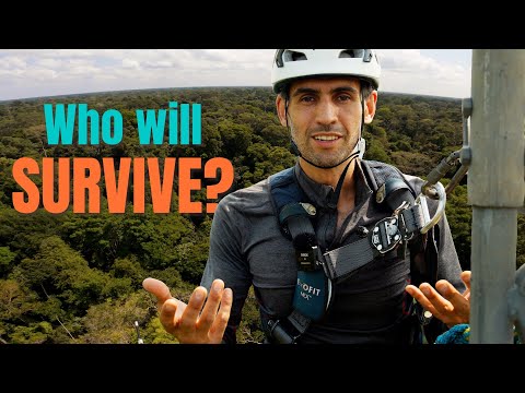 Amazon Rainforest Drought: an Adventure-Science Mystery