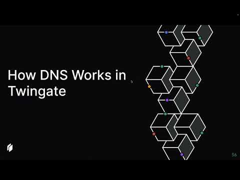 Getting Started 9 | DNS in Twingate