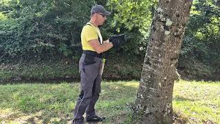 LogRay® RFID for trees, logs, wood tracking