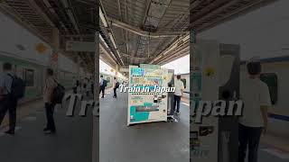 Japan life  #japanese #japanreels #japansummer