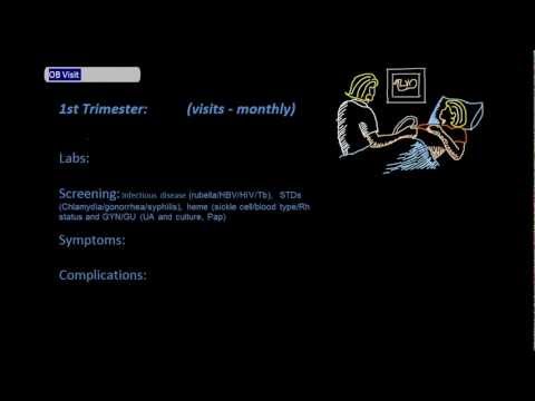 Prenatal Visits [UndergroundMed]