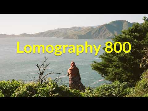 Lomography 800 — A Photowalk Through San Francisco's Presidio