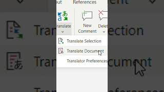 How to Translate Word Document into another language