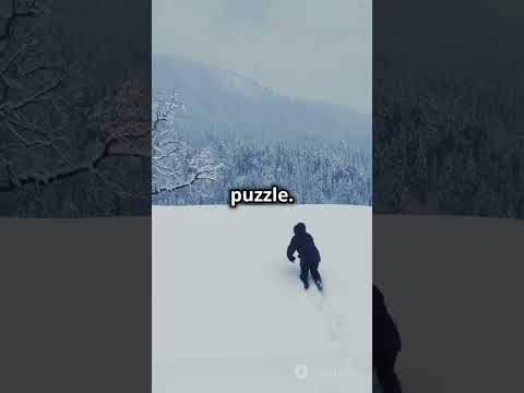 Building an Igloo in the Arctic 🧊❄️ | Epic Winter Adventure! #wanderlust #facts #travelvlog #travel