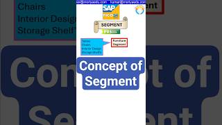Segment in #sapfico #s4hana