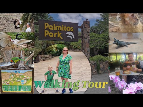 Join Us on Our Walking Tour at Palmitos Park 🦅 With Bird of Prey Show